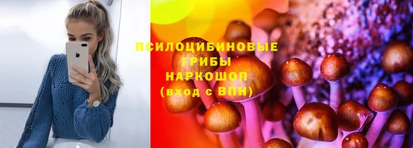амф Алексин