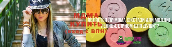амф Алексин