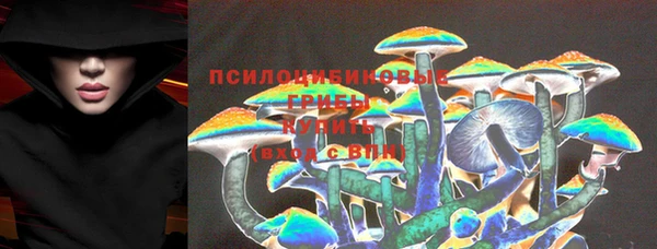 амф Алексин