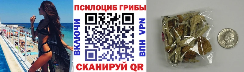 МЕГА ссылки  Амурск  Галлюциногенные грибы Psilocybine cubensis  магазин  наркотиков 