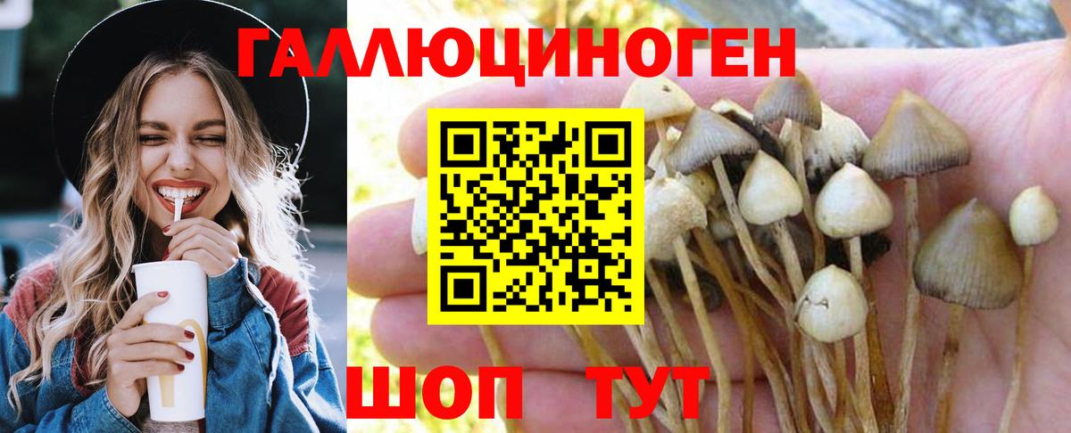 Галлюциногенные грибы Cubensis  сколько стоит  Амурск  Галлюциногенные грибы MAGIC MUSHROOMS  Вход с VPN 